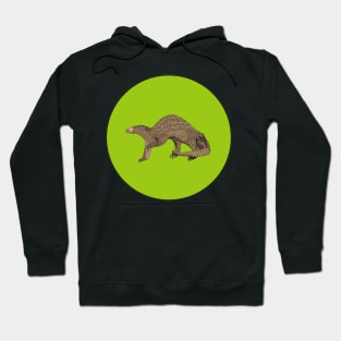 Philippine Pangolin Hoodie